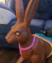 Usagi Usagi